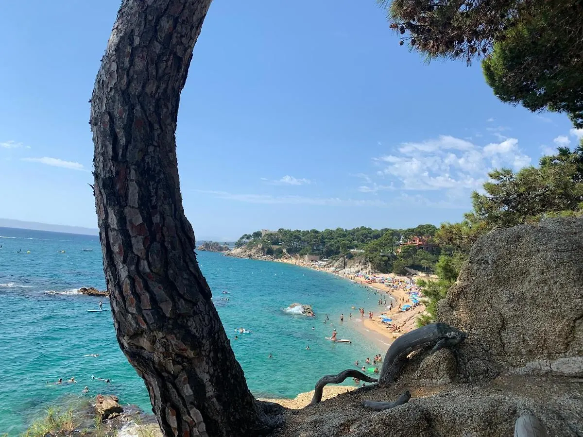 Apartamento Antonella II Platja d'Aro